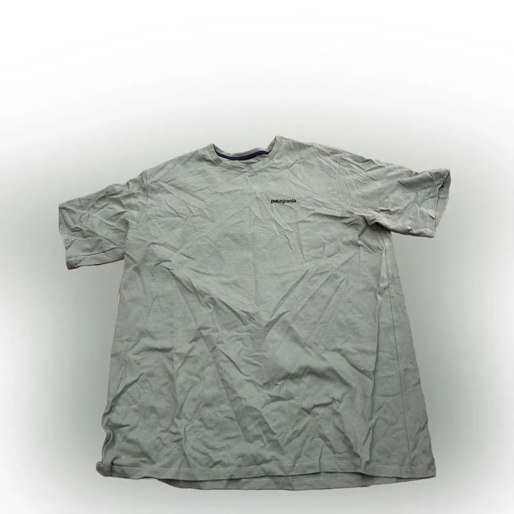 Patagonia Tshirt